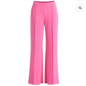Scoop Scuba Pink Women's Pants